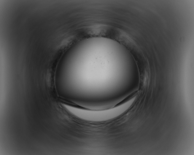 X0000086790416200705041552