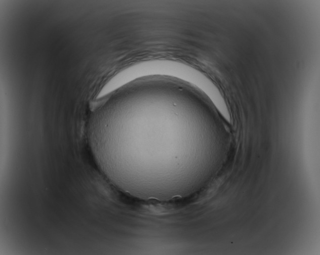 X0000086790417200705041552