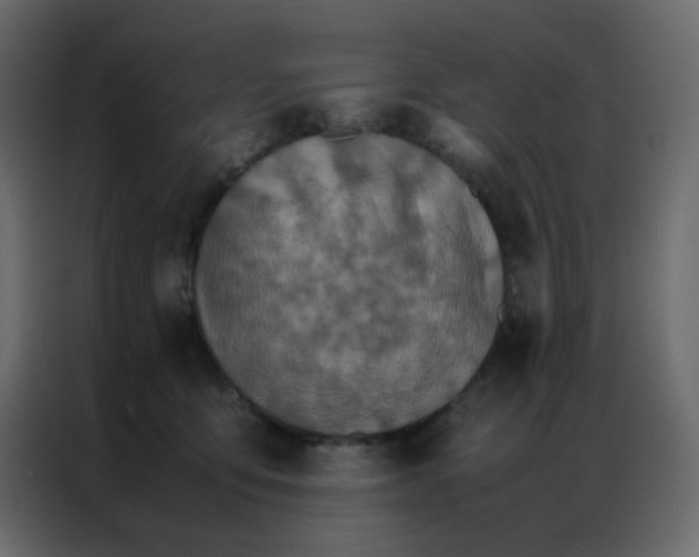 X0000086790419200705041552