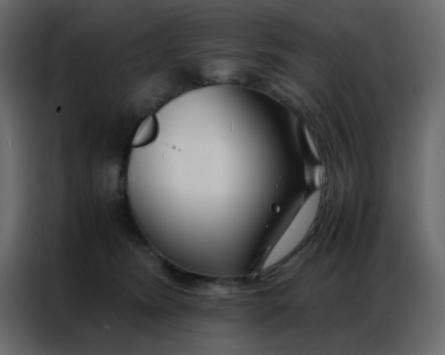 X0000086790420200705041552