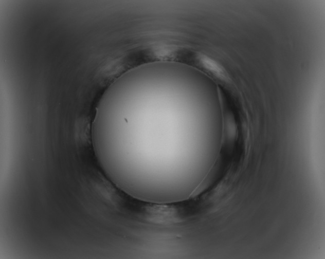 X0000086790421200705041552