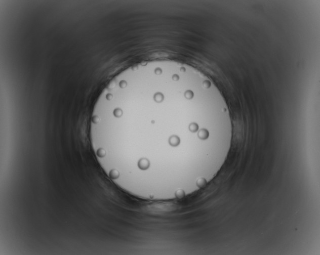 X0000086790422200705041552