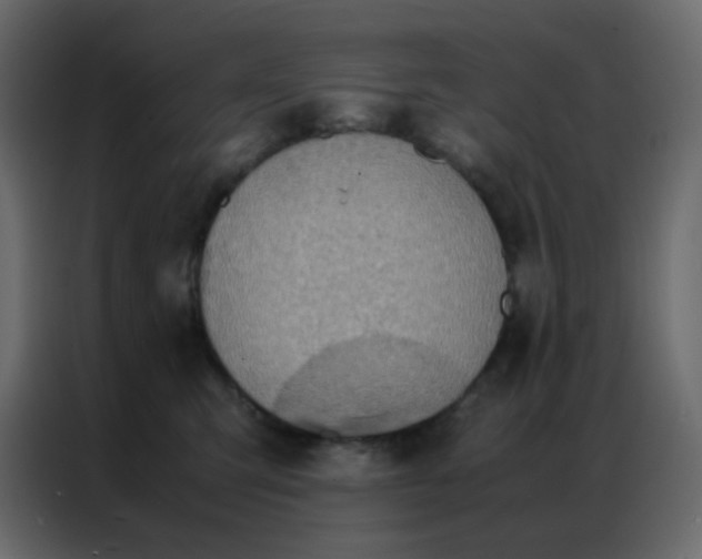 X0000086790423200705041552