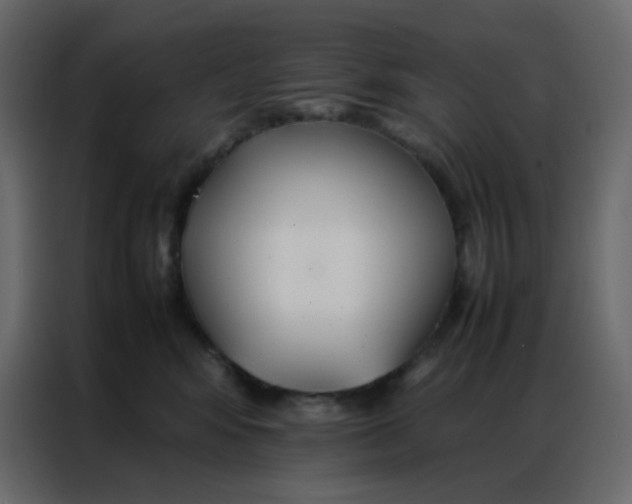 X0000086790424200705041552