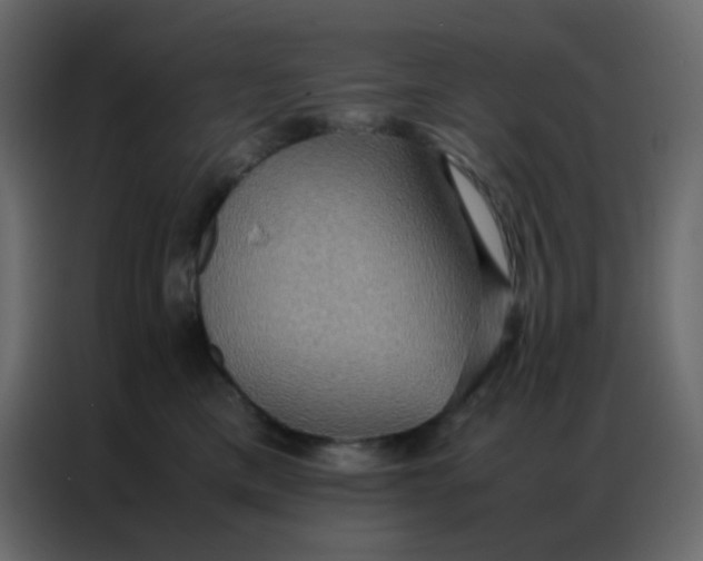 X0000086790425200705041552