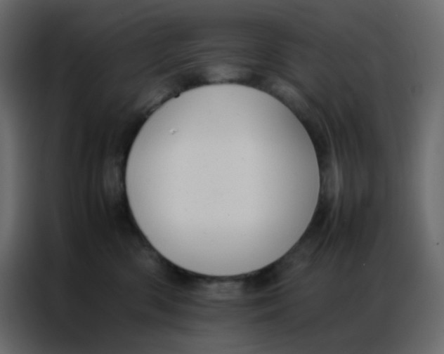 X0000086790426200705041552