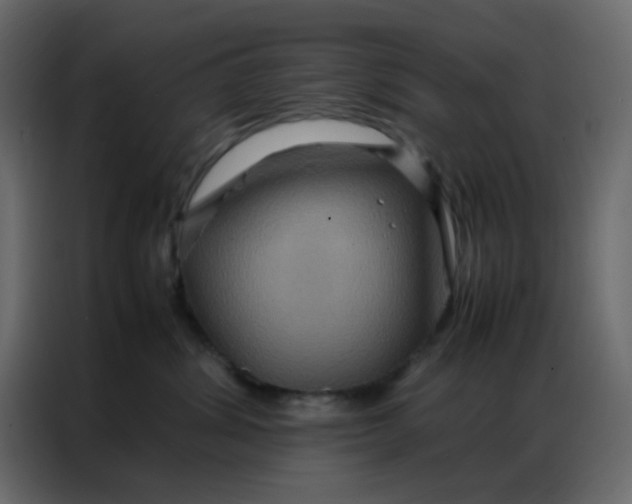 X0000086790428200705041552