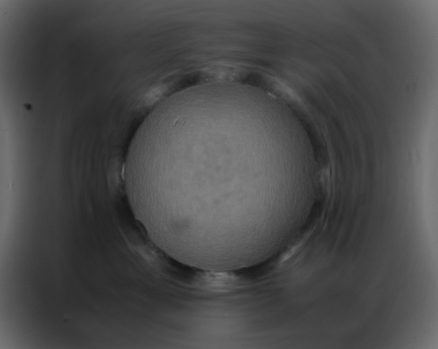 X0000086790429200705041552