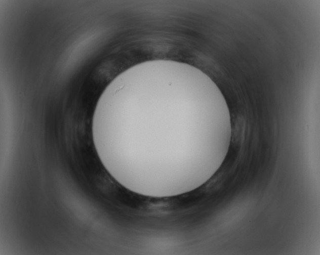 X0000086790430200705041552