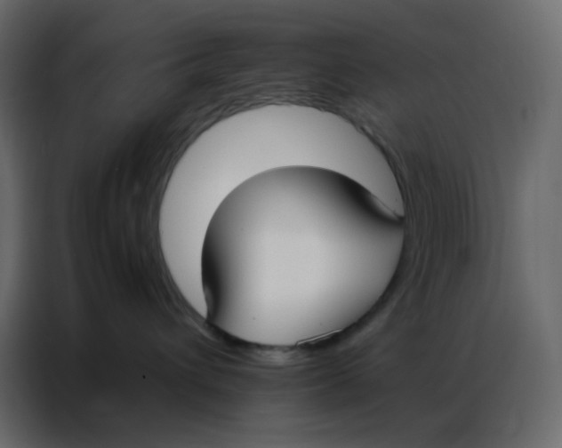 X0000086790432200705041552