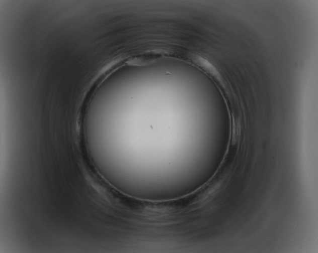 X0000086790435200705041551