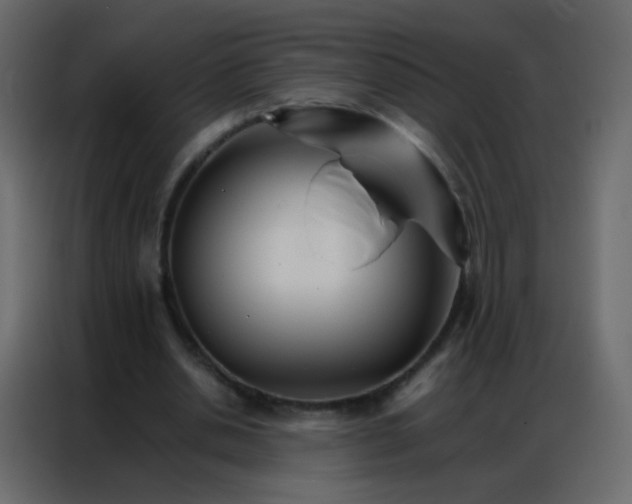 X0000086790438200705041551