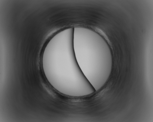 X0000086790439200705041551