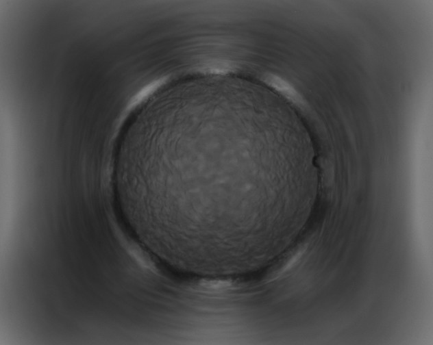 X0000086790440200705041551