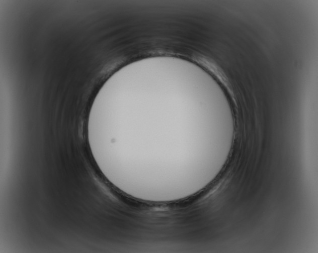 X0000086790441200705041551