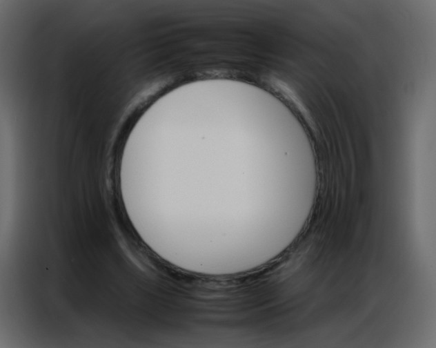 X0000086790443200705041551