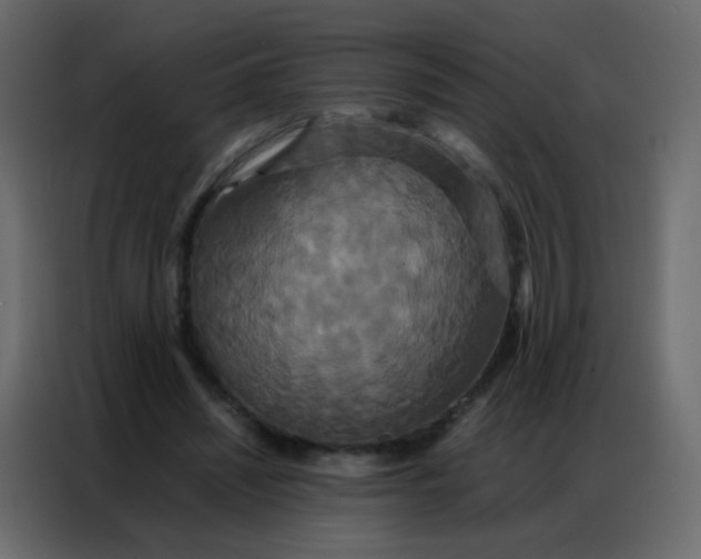 X0000086790444200705041551