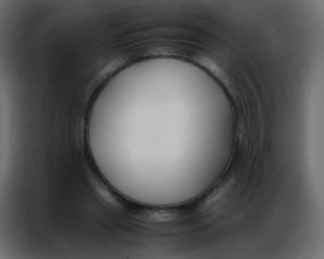 X0000086790445200705041551