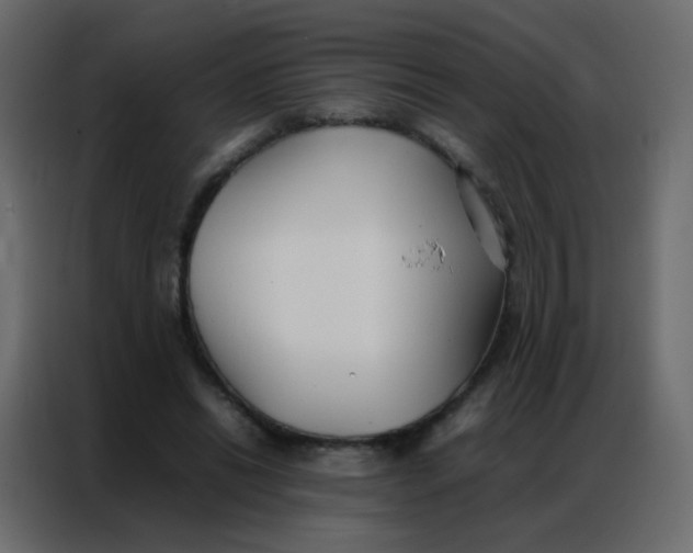 X0000086790446200705041551