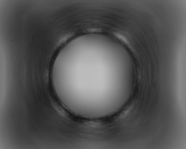 X0000086790447200705041551