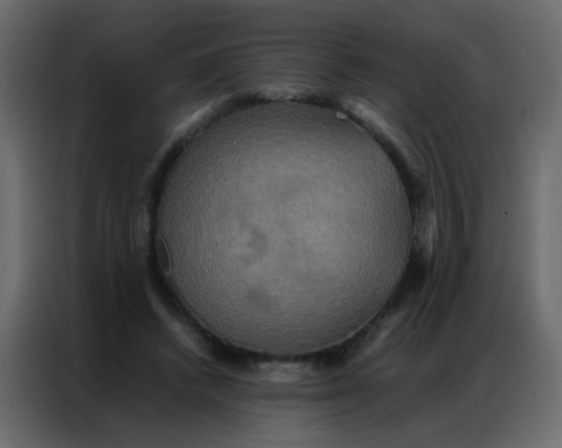 X0000086790448200705041551