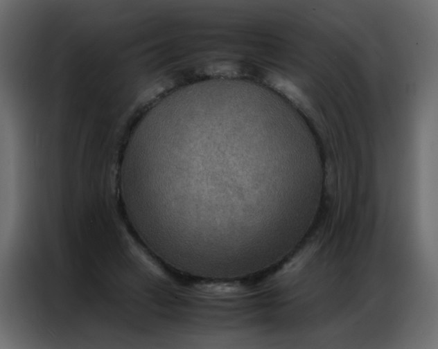 X0000086790449200705041551