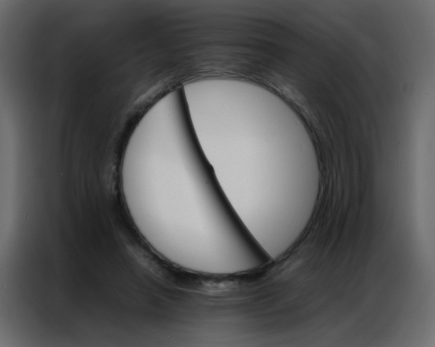 X0000086790450200705041551