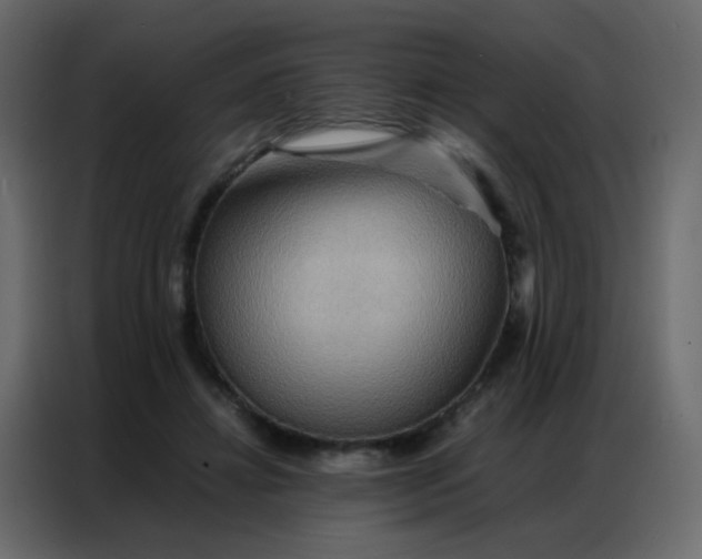 X0000086790452200705041551