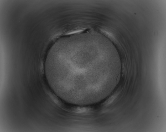 X0000086790453200705041552