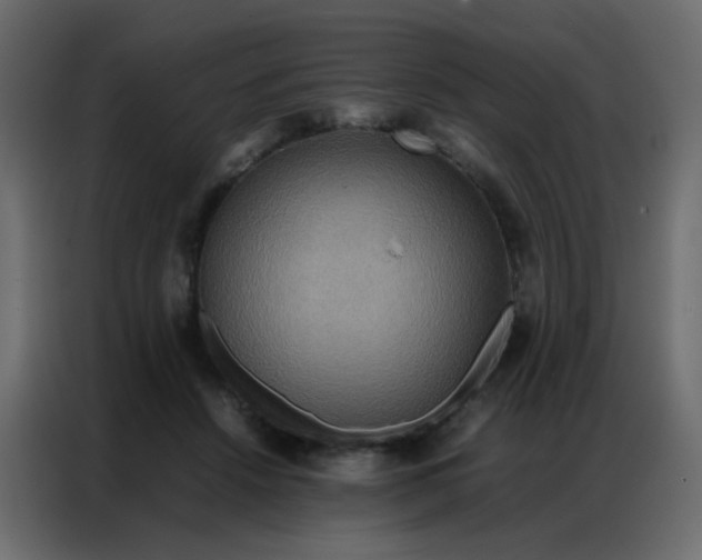 X0000086790456200705041552