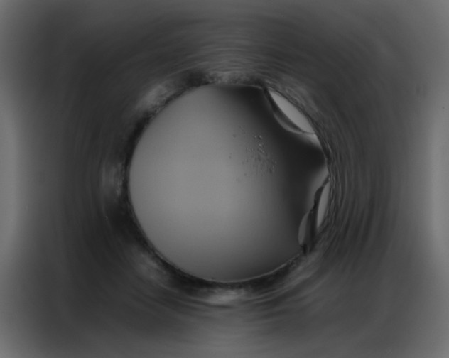 X0000086790458200705041552