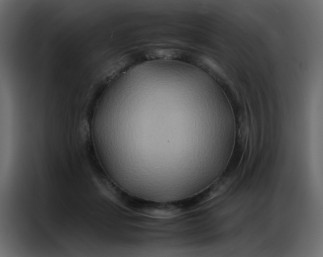 X0000086790459200705041552