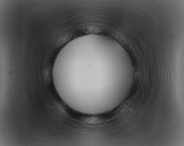 X0000086790460200705041552