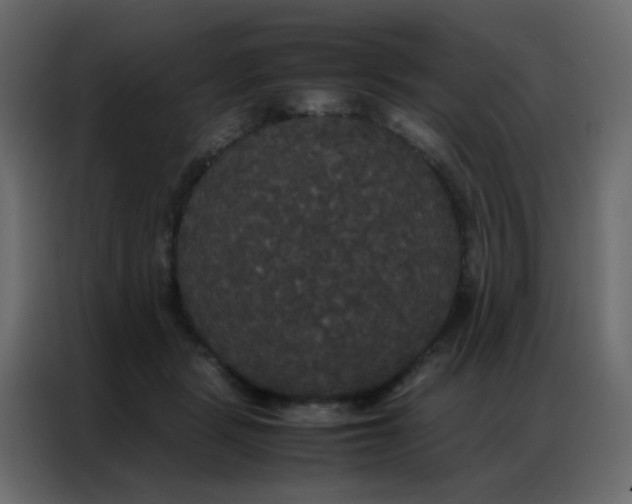 X0000086790461200705041552