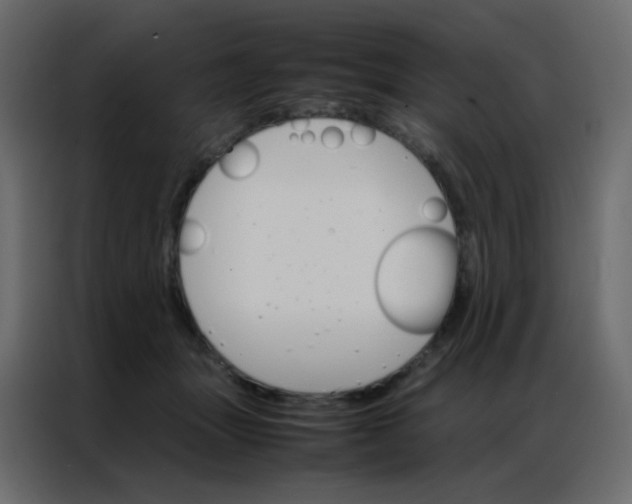 X0000086790463200705041552