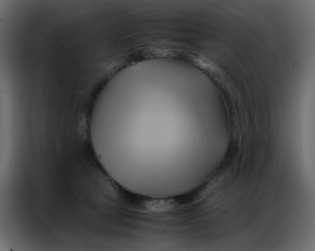 X0000086790465200705041552