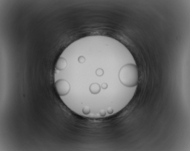 X0000086790469200705041552