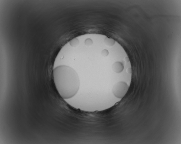 X0000086790475200705041552