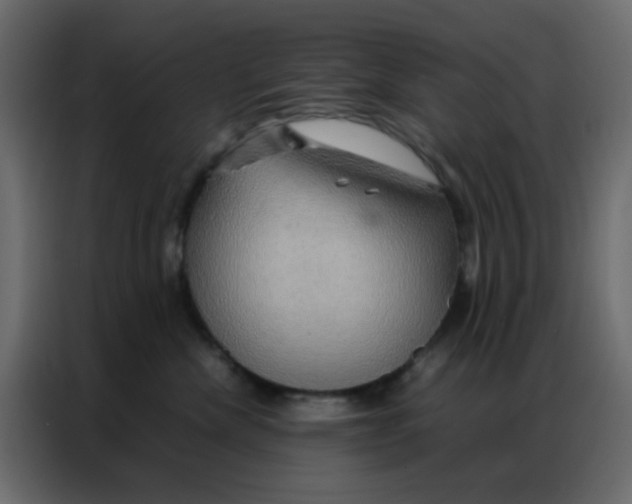 X0000086790476200705041552