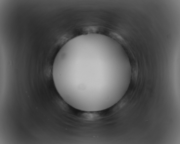 X0000086790477200705041552