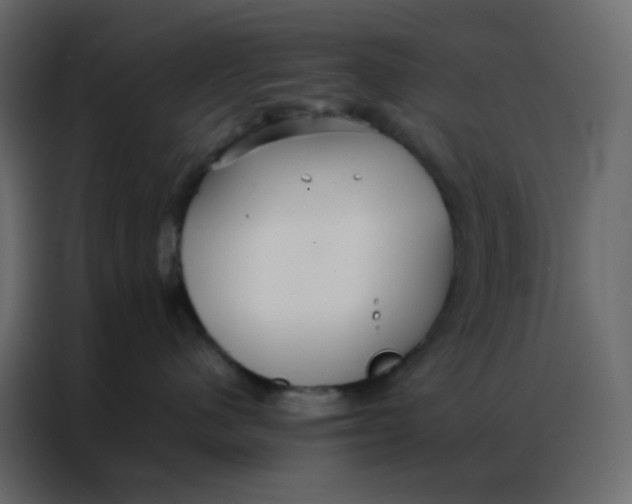 X0000086790480200705041552