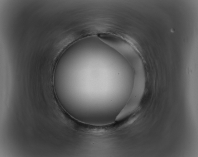 X0000086790481200705041551