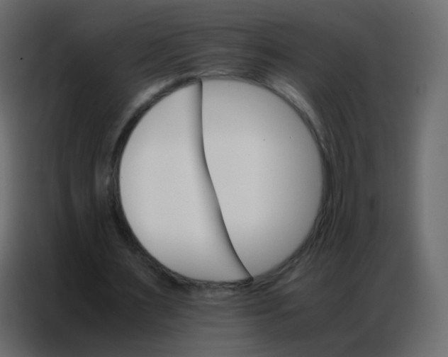 X0000086790483200705041551