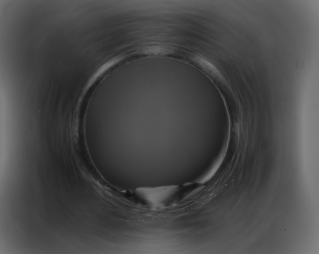 X0000086790484200705041551