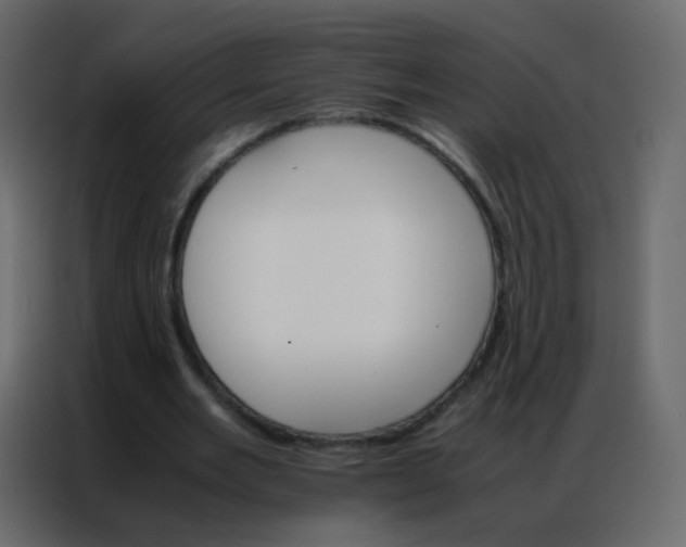 X0000086790485200705041551