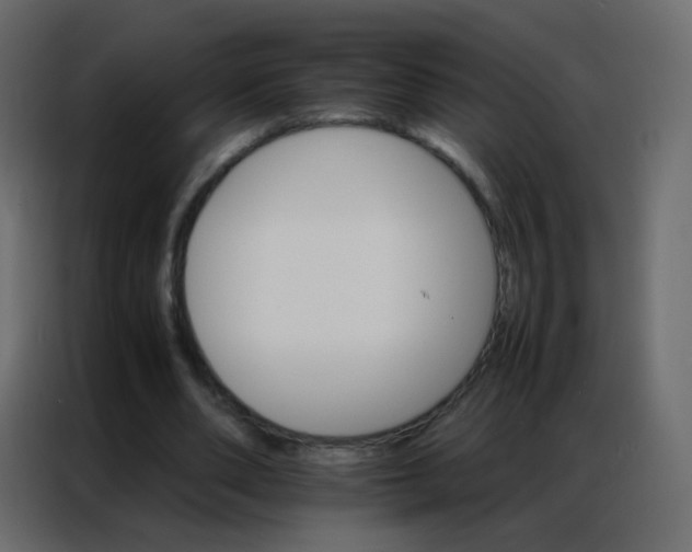 X0000086790486200705041551