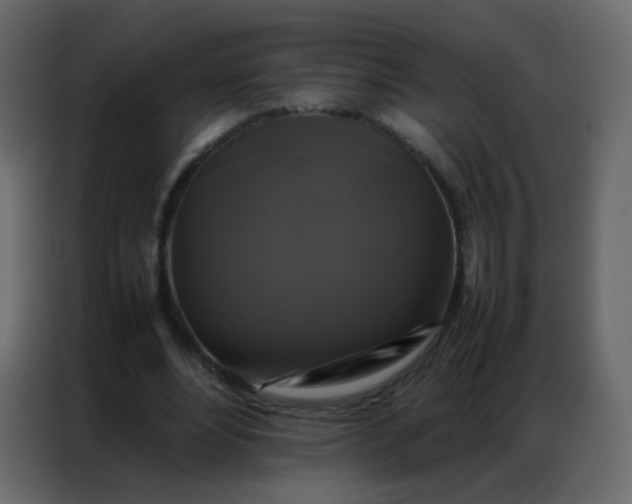 X0000086790488200705041551