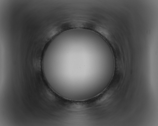 X0000086790489200705041551