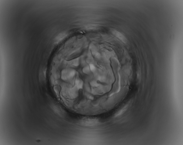 X0000086790491200705041551