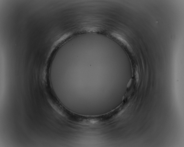 X0000086790492200705041551